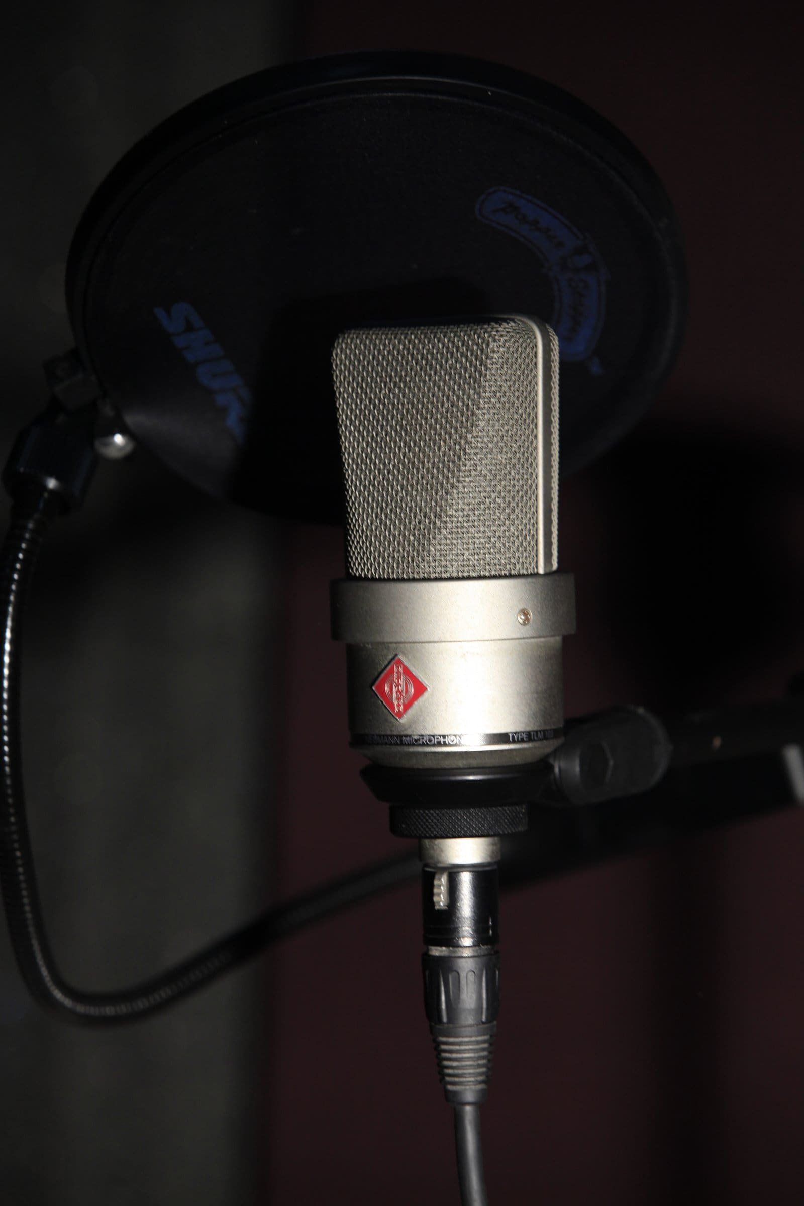 A studio condenser microphone in a recording booth